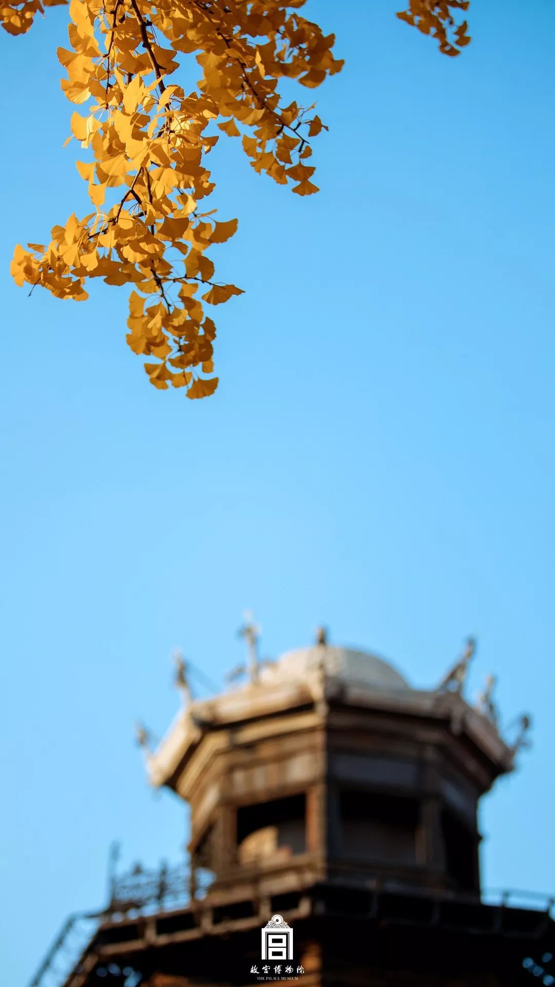 故宫600年故宫图,故宫100张照片原图