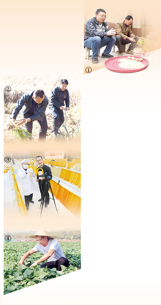 关注扶贫助农,关注扶贫助力攻坚直播