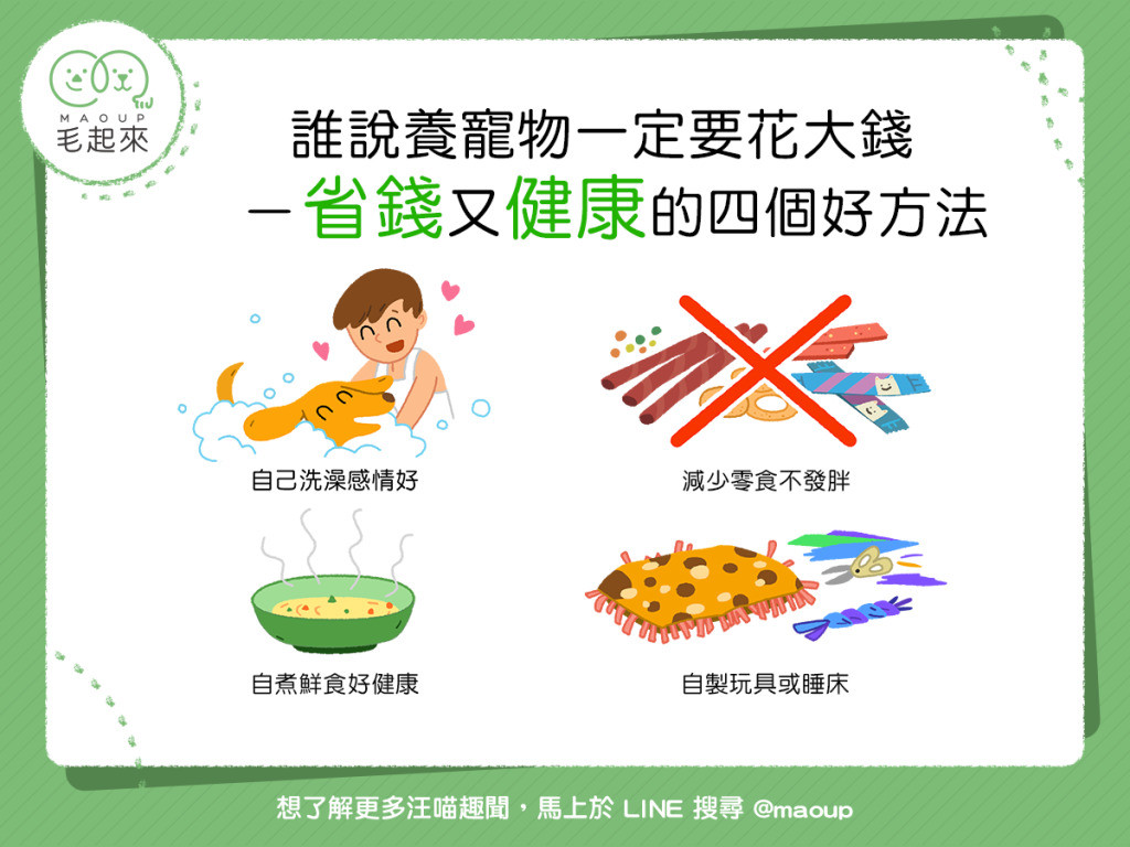 养毛孩子全过程,养毛孩子的十大方法