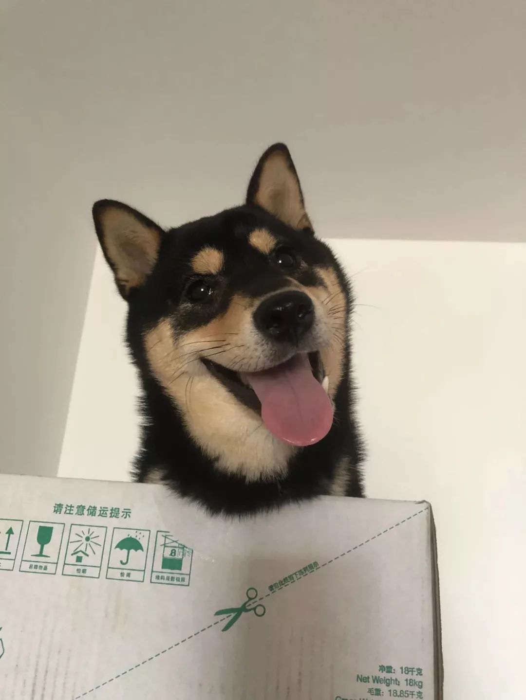 闺蜜骗40万元,闺蜜被骗17万