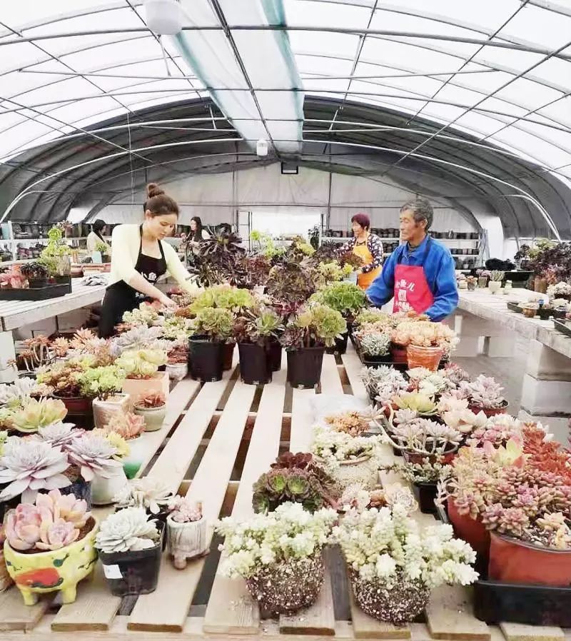 江都“双11”线上线下忙疯了！小纪这个淘宝村一天销售3个亿