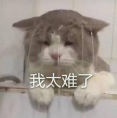 好消息！东方医院中医治疗室周末开放啦