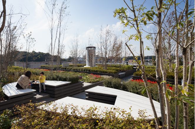 场地启发灵感“地尽其利”丨studioonsite事务所