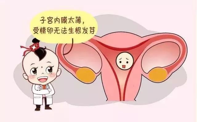 子宫内膜为什么不完全覆盖基底层,子宫内膜分型标准