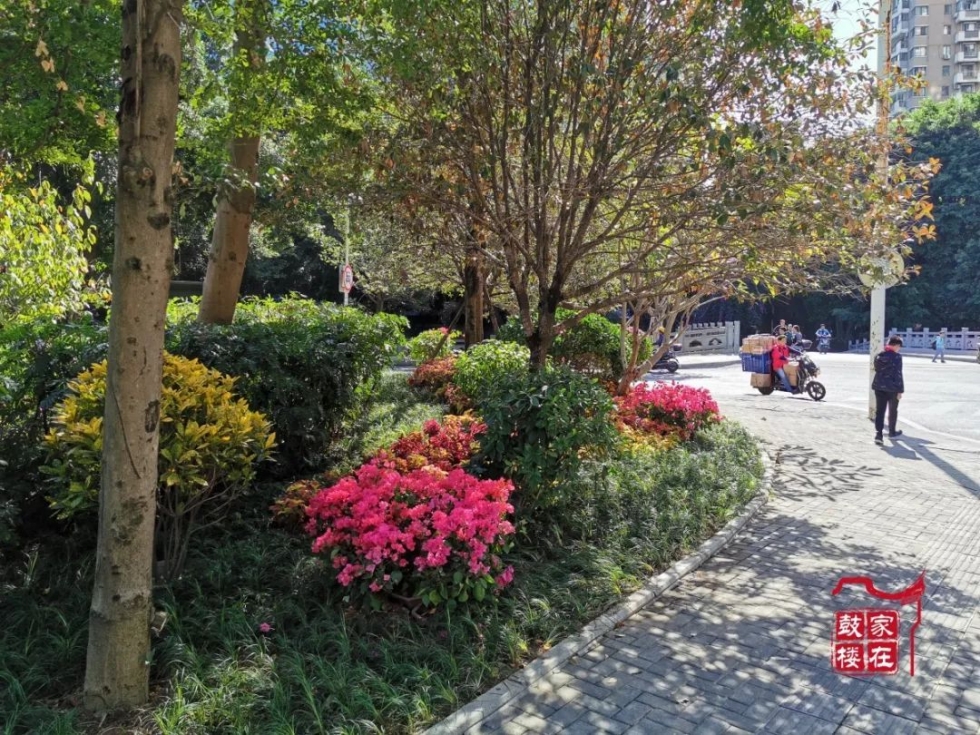 福州高新区最美公园,福州最有韵味的公园