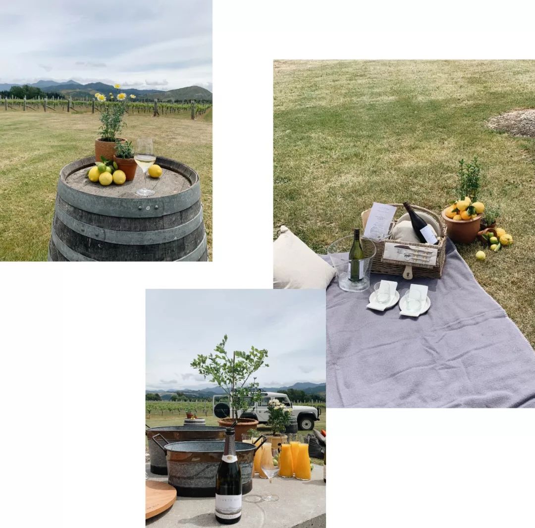 新西兰旅行的感受,新西兰旅游享受快乐每一天