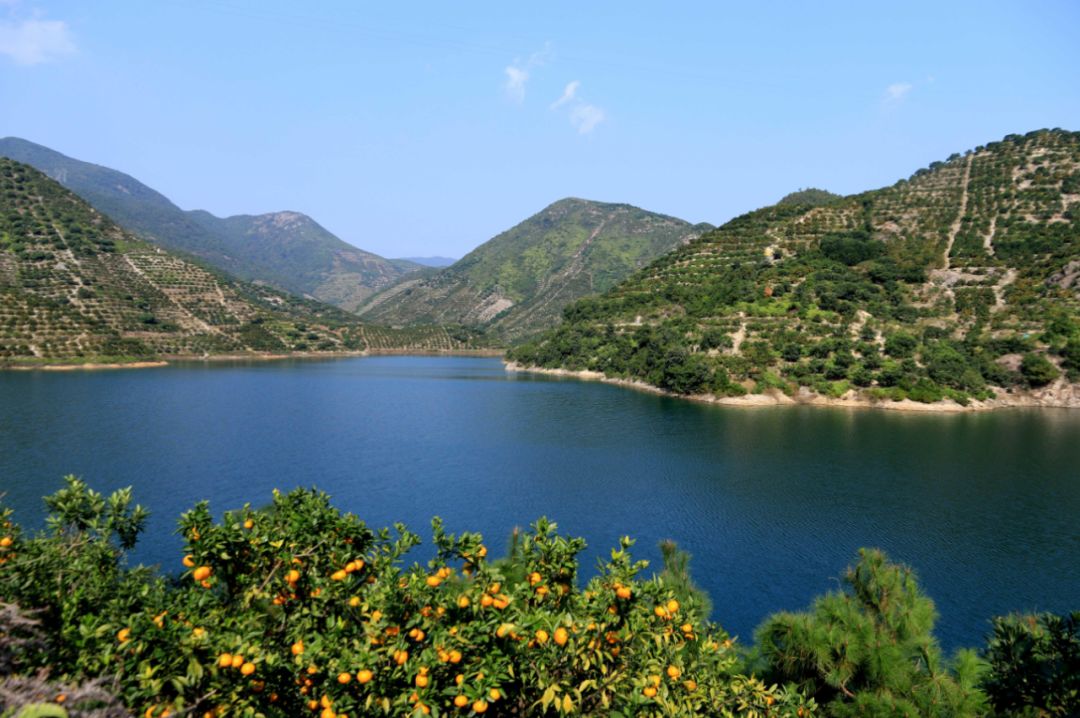 轻轻一咬满口汁水酸酸甜甜,轻轻一咬满嘴甜汁