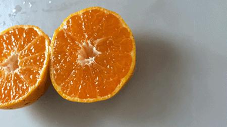 轻轻一咬满口汁水酸酸甜甜,轻轻一咬满嘴甜汁