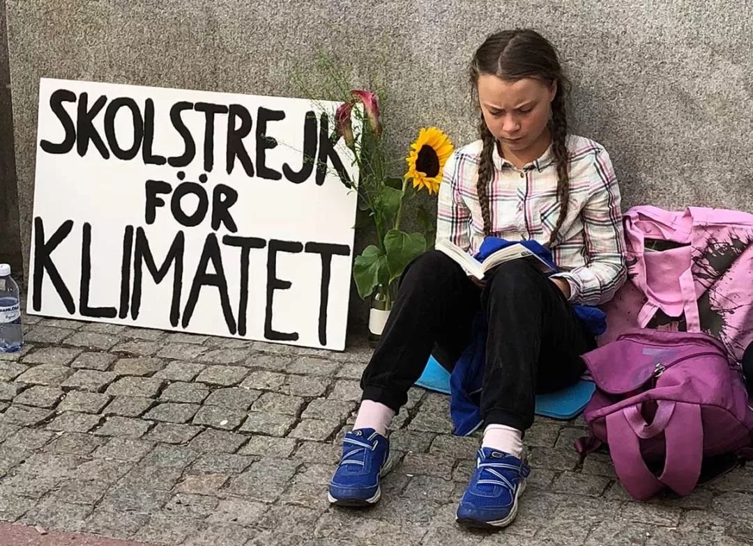 英语热词最新2024,三大权威英语词典