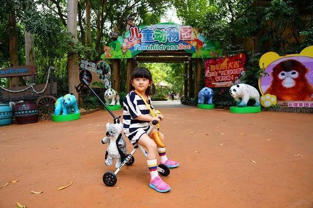 亲子游广州长隆动物园,广州长隆野生动物世界亲子游路线