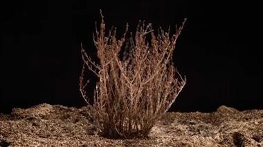 真正让你变美的护肤品高口碑,堪比大牌的护肤品