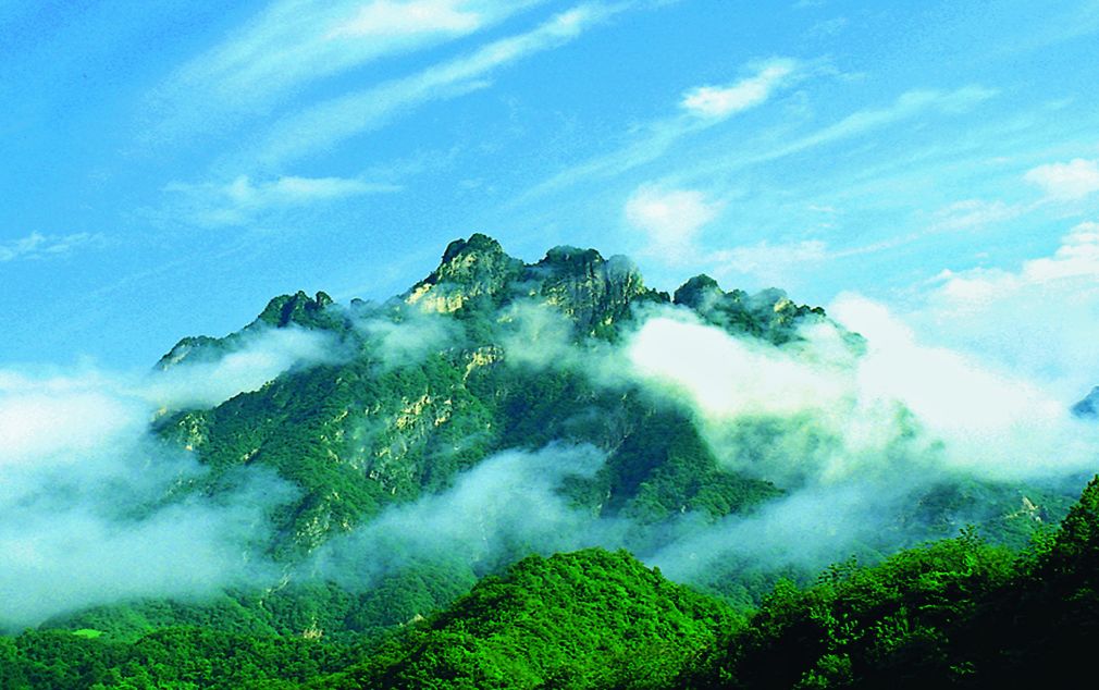 嵩县的这些“非卖品”，你都知道吗？