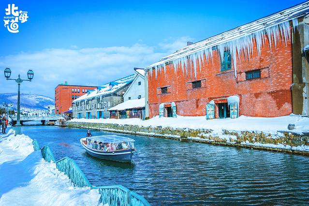 北海道冬季自由行游记,北海道情书