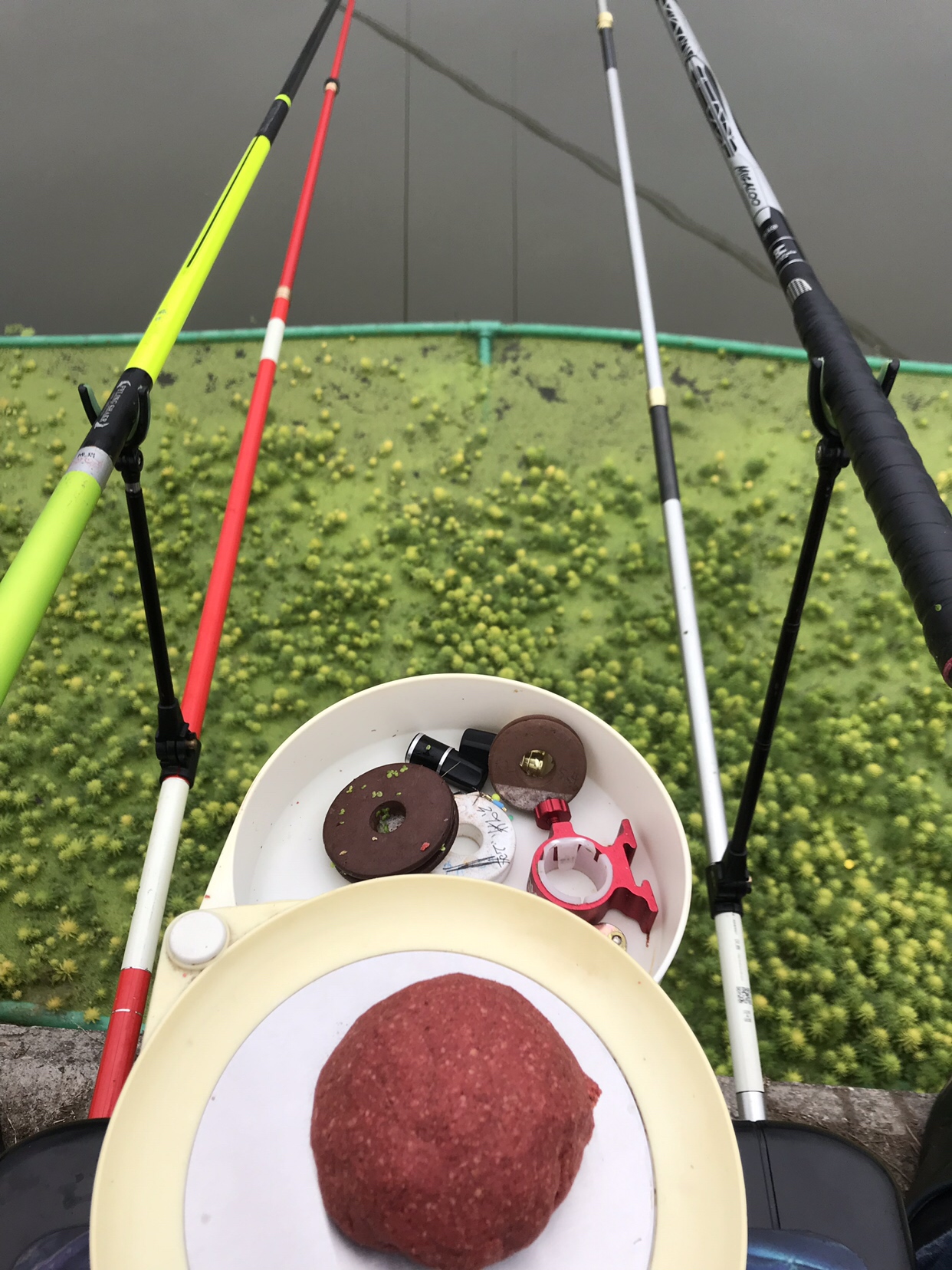 野钓垂钓实录,野钓钓鱼视频实战