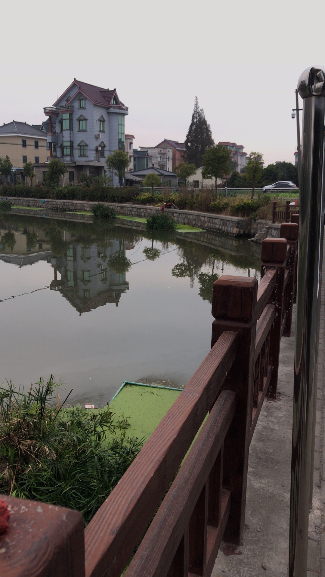 野钓垂钓实录,野钓钓鱼视频实战