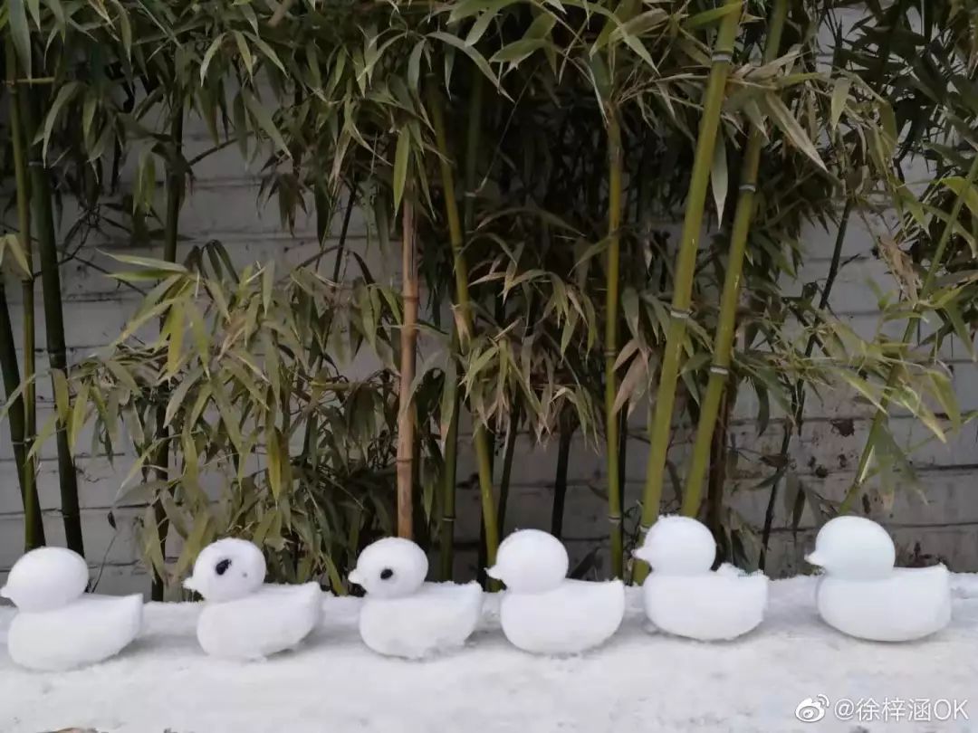 中国哪里开始下雪了,什么地方开始下雪了