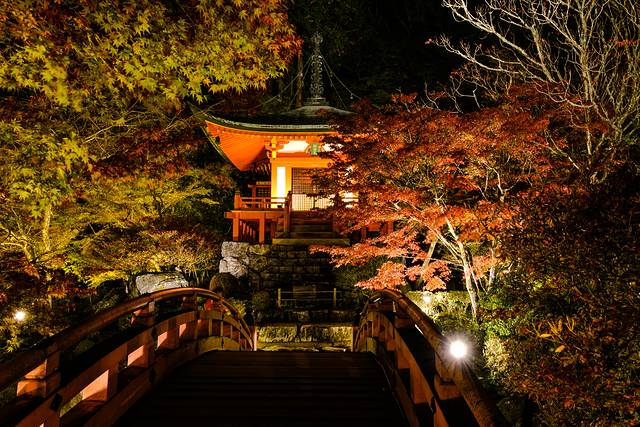 15天关西自由行,日本关东7日自由行