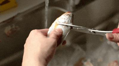 台湾评价吕四海鲜,吕四海鲜干货