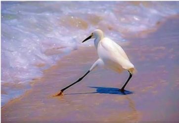 这张图非常火,网友留言说:这个星星就不知道把板凳往前挪一挪吗