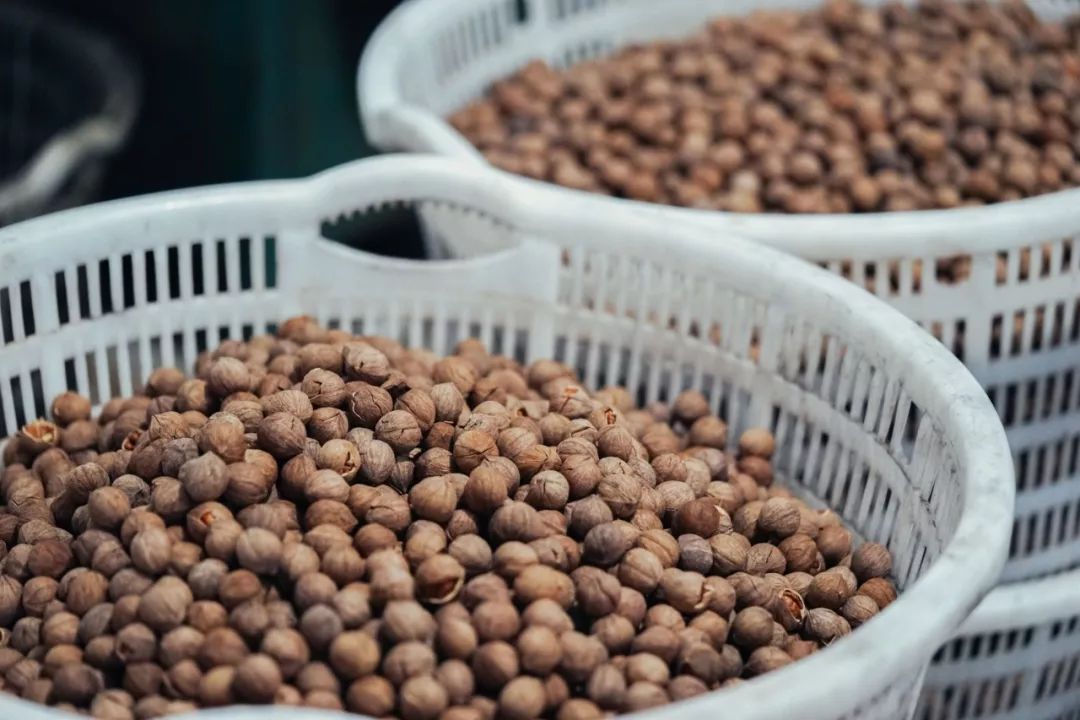 广东人连买6罐，杭州人连买12罐的杭州特产|饱记上新