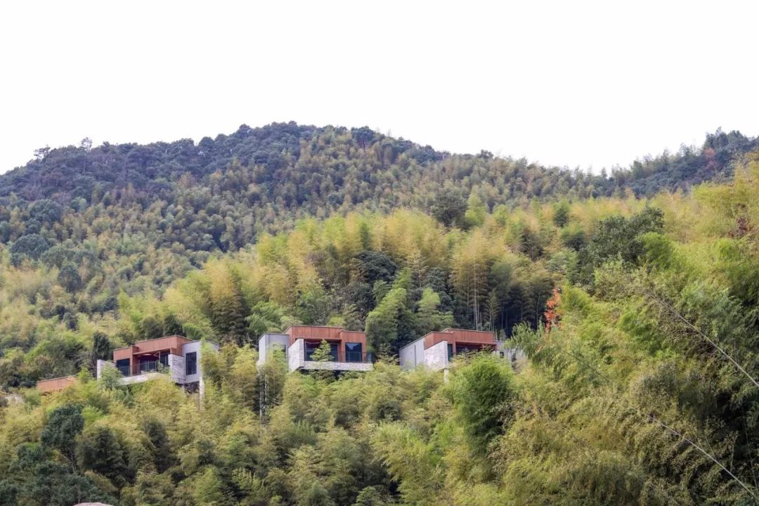 新昌安岚山居酒店,温泉入户竹林山居