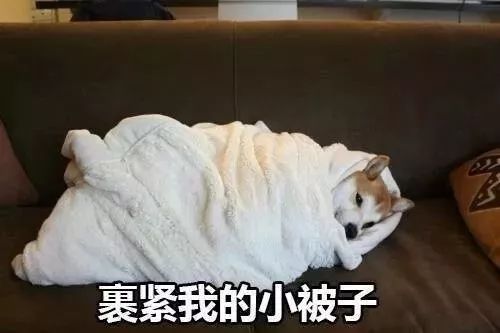 #2019快过去吧！生活太难的时候就在家好好窝一下