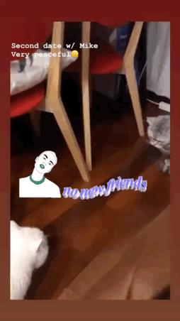 十一月好物种草,十一月好物