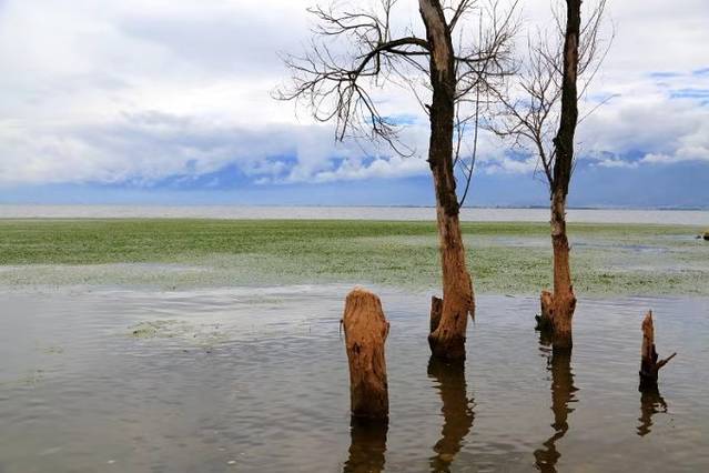 泸沽湖虎跳峡香格里拉怎么坐车,丽江香格里拉泸沽湖虎跳峡