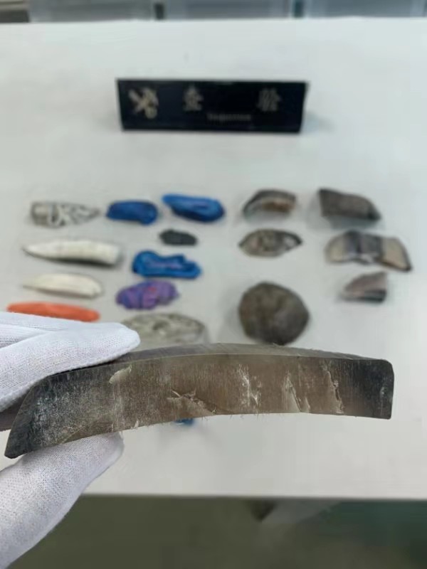 香港海关查获犀牛角,2019上海海关走私犀牛角被判几年