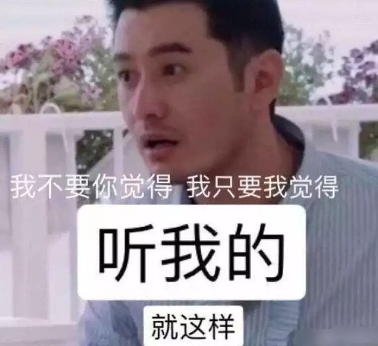 柠檬精十大流行语,2019年度十大流行语详解