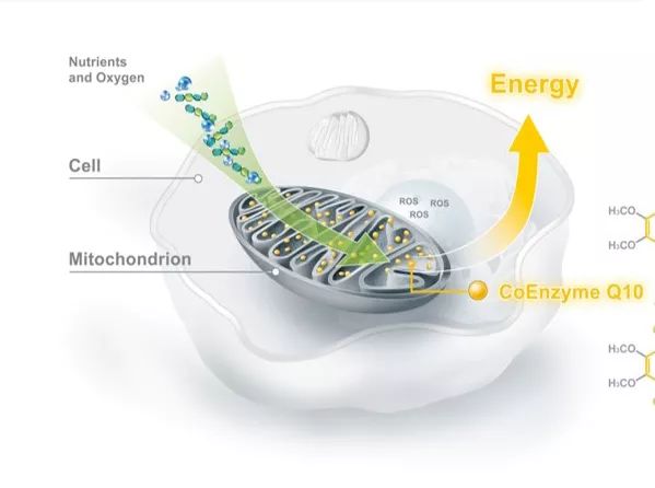 nivea妮维雅男士面霜,妮维雅nivea男士护肤品