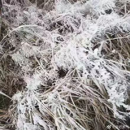 用暗语隐蔽交易，外卖商家向未成年人“花式”售烟：请加wei信｜新闻早茶