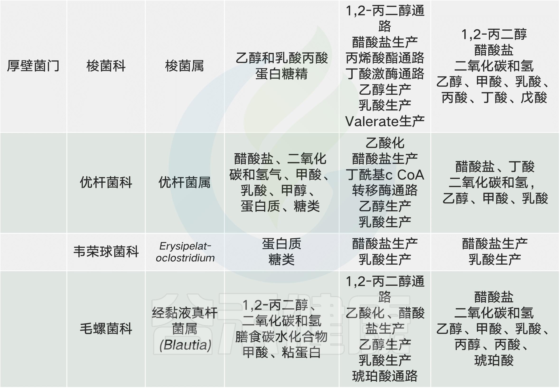 肠道菌群影响饮食文章,饮食与肠道菌群唇齿相依