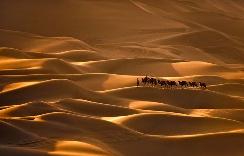 海上丝绸之路途经之地是什么市,2021上海丝绸之路