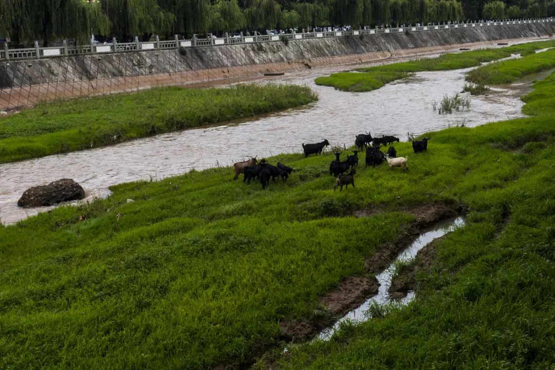 海上丝绸之路途经之地是什么市,2021上海丝绸之路