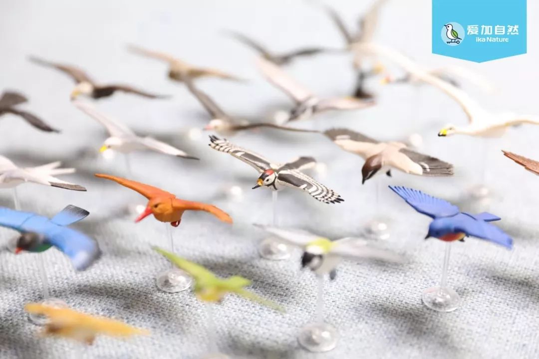 这也许是最好买的一场劲草嘉年华……