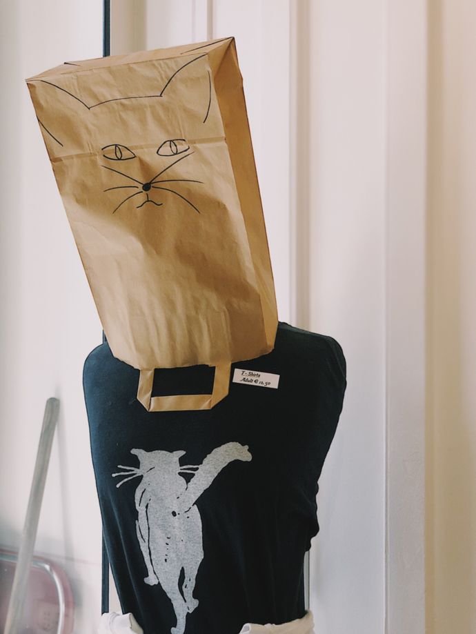 各种猫咪的博物馆,猫咪博物馆都有哪些猫