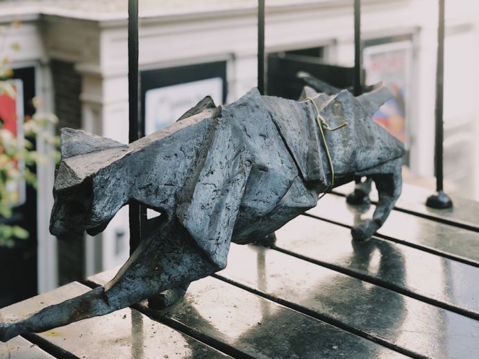 各种猫咪的博物馆,猫咪博物馆都有哪些猫