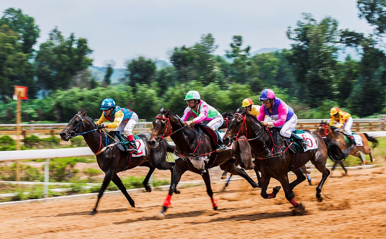 踏马滇池百万名马乘骑等你来体验