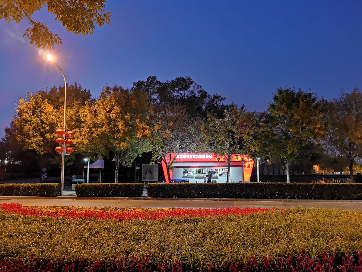 华为mate30pro前摄像头近拍,华为mate30pro前摄像头拍照效果