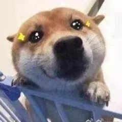 住哪里可以感受洛阳的繁华,洛阳哪个地方最适合居住