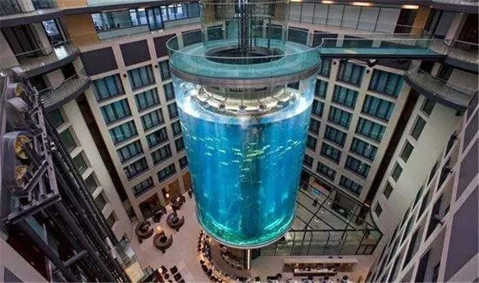 世界最大的鱼缸有多大,世界上最大的巨型鱼缸