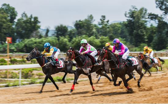踏马滇池？百万名马乘骑等你来体验