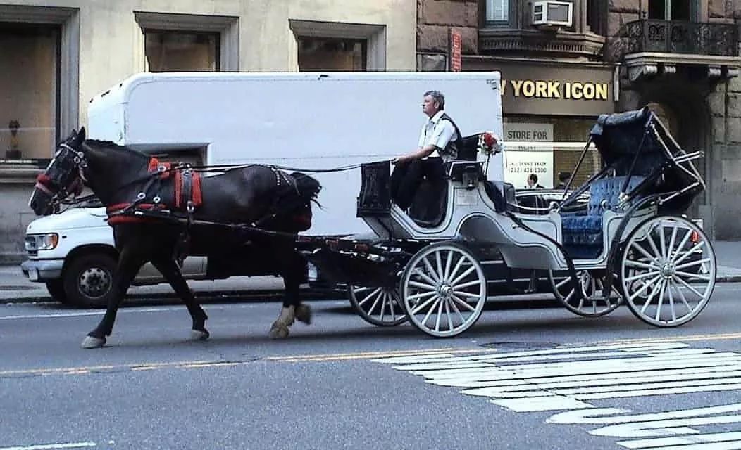 在过圣诞这件事上，明星们比你认真多了