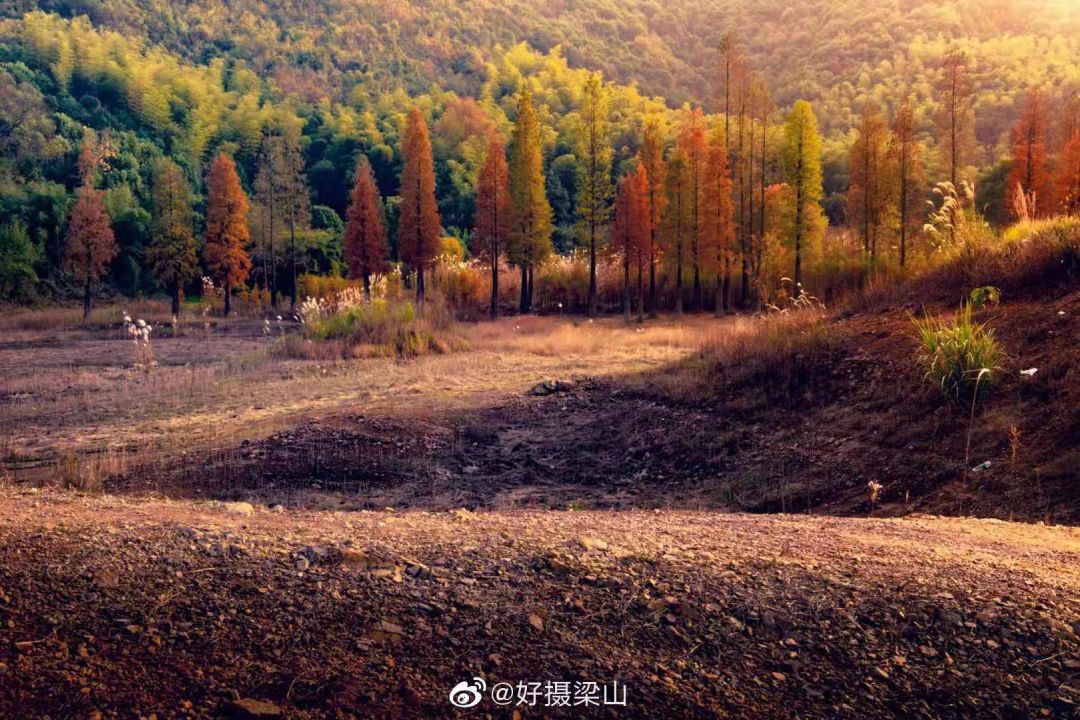 长沙梅溪湖拍照的网红打卡地,长沙梅溪湖网红打卡地在哪个站下