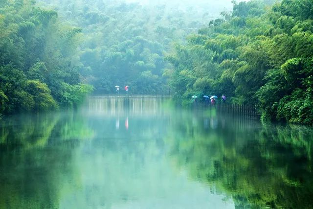 去一趟横溪，感受大型真香现场！