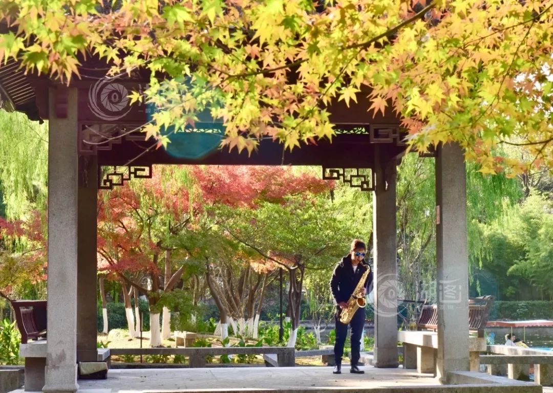 真金白银！湖州企业收到这些“红包”