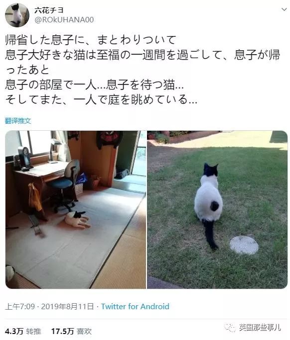 盘点喵星人的高光时刻,最好看的喵星人图片