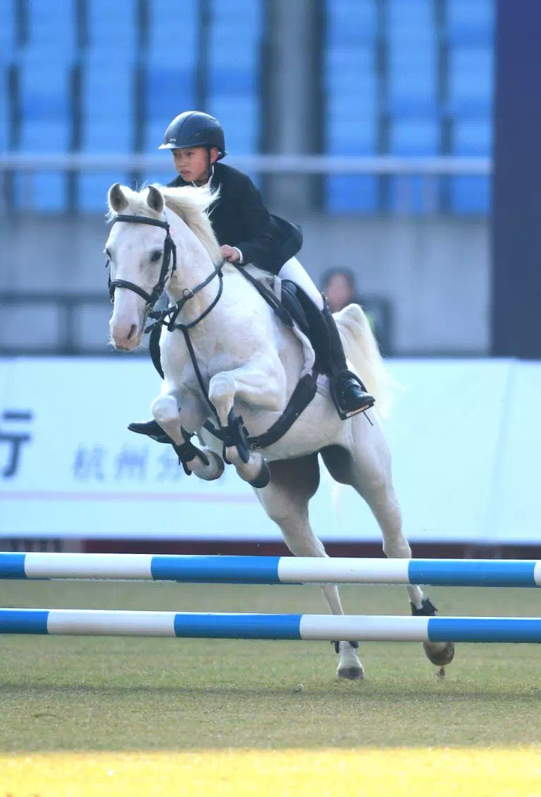 周周赛事周周精彩浙江体彩和你“品一品”马术