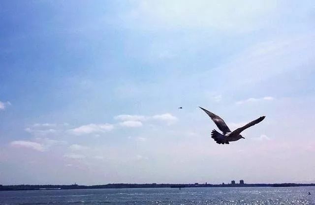 25岁背负房贷100万,25岁欠了5万的债怎么办